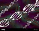 Ilustración de tres hebras de ADN de doble hélice Fotografía de stock ...