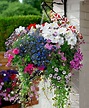 √ 37 Great Hanging Flower Basket Ideas That You Can Use Today | Hanging ...