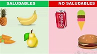 Alimentos nutritivos y no nutritivos - YouTube