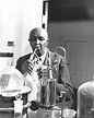 George Washington Carver: Biography, Inventions & Quotes | Live Science