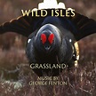 Wild Isles: Grassland (Music from the Original TV Series) - Album by ...