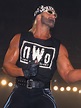 "Hollywood" Hulk Hogan Pictures - Rotten Tomatoes