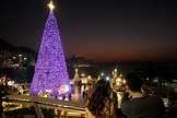繽紛冬日巡禮移師西九 巨型聖誕樹明晚亮燈 - 香港 - 香港文匯網