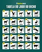 Tabela do Jogo do Bicho || Conheça os 25 Animais e Grupos