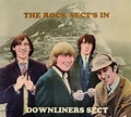 Downliners Sect - The Rock Sect's In (2005) {Reissue} / AvaxHome