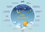Ciclo circadiano: entenda como os períodos do dia influenciam o seu ...
