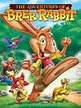 Le avventure di Brer - Un coniglietto tutto pepe (2006) | FilmTV.it