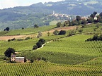 Though frequently called the Tuscany of the North of Italy, the Oltrepò ...