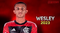 Wesley França 2023 Flamengo Dribles, Desarmes & Assistências | HD - YouTube