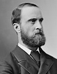 Rhetoric and public opinion in the world of Charles Stewart Parnell ...