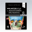 Netter. MINI NETTER - Atlas de Anatomía Humana. 8ª Edición - 2023 ...