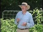 Mel Bartholomew - Introducing Square Foot Gardening - Video