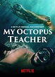 My Octopus Teacher Budget - Meet Craig Foster The Human Star Of Amazing ...