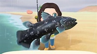 Animal Crossing Coelacanth: How to catch a Coelacanth in New Horizons ...