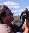 Steve Irwin Discovered This Turtle... 32 Years Later His Son Shares ...