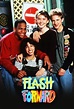 Flash Forward (TV Series 1995–1997) - IMDb