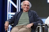 Larry David's HBO Documentary Pulled One Day Before Premiere