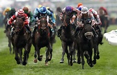 2025 Grand National Colours and Silks | Grandnational.org.uk