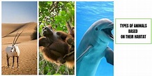 Types of animals based on habitat - Remember Animals