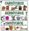 Animales Carnívoros, Herbívoros y Omnívoros (características y ...