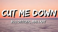 Blu DeTiger, Mallrat - Cut Me Down (Lyrics) - YouTube