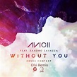 Avicii - Avicii - Without You Ft. Sandro Cavazza (Olsi Remix) | Spinnin ...