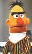 Bert Through the Years - Muppet Wiki