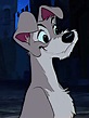Tramp - Disney's Lady and the Tramp Photo (40991815) - Fanpop