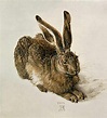Le li vre - tableau de Albrecht D rer | Art animalier, Art de la ...