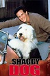 The Shaggy Dog (1994) — The Movie Database (TMDB)