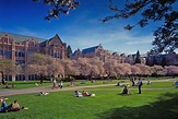 University of Washington Wallpapers - Top Free University of Washington ...