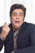 Benicio Del Toro at A Perfect Day Press Conference – Celeb Donut