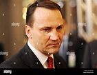 Der polnische Außenminister, Radoslaw Tomasz Sikorski, aufgenommen am ...