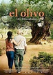 El Olivo - Der Olivenbaum | Poster | Bild 13 von 13 | Film | critic.de