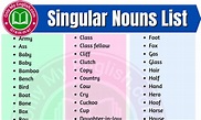 Singular Nouns List in English » Onlymyenglish.com