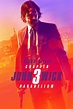 How to watch John Wick: Chapter 3 - Parabellum on Netflix