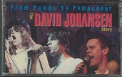 from Pumps to Pompadour: The David Johansen Story : Amazon.fr: CD et ...