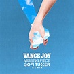 Vance Joy – Missing Piece (Sofi Tukker Remix) Lyrics | Genius Lyrics