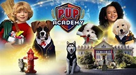 Pup Academy episodes (TV Series 2019 - Now)