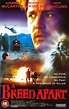 Perfect Assassins (1998) British movie cover