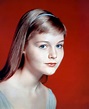 Beautiful Photos of a Young Carol Lynley in the 1950s and ’60s ...