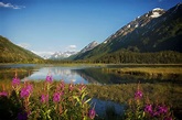 Allgemeine Informationen über den US Staat Alaska - Exit Reisen
