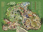 Map Of The San Diego Zoo | Tourist Map Of English