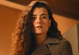 NCIS Season 17: Even The Cast Doesn’t Know Everything About Cote De ...