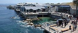 Monterey, California - Wikipedia