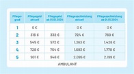 Hausengel begrüßt Erhöhung von Pflegegeld und Pflegesachleistungen in ...