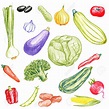 Vegetables Drawing at GetDrawings | Free download