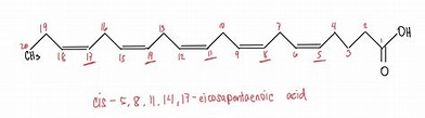 [Solved] cis - 5 , 8 , 11 , 14 , 17 -eicosapentaenoic acid | Course Hero