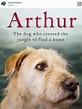 La historia de ‘Arthur’, el perrito ecuatoriano, llegará al cine ...