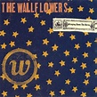 The Wallflowers - Bringing Down The Horse (1996) - 90's Rock